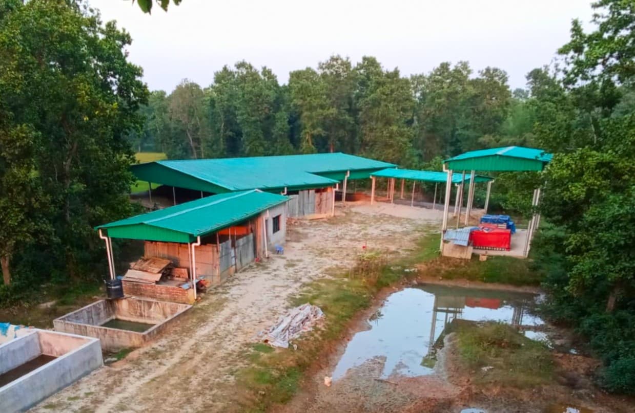 Sreepur, Gazipur Site